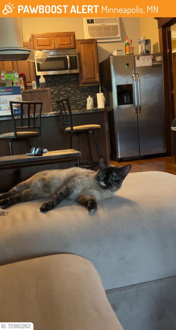 Found/Stray Unknown Cat last seen Delaware St SE by the Home2Suites Hotel, Minneapolis, MN 55414