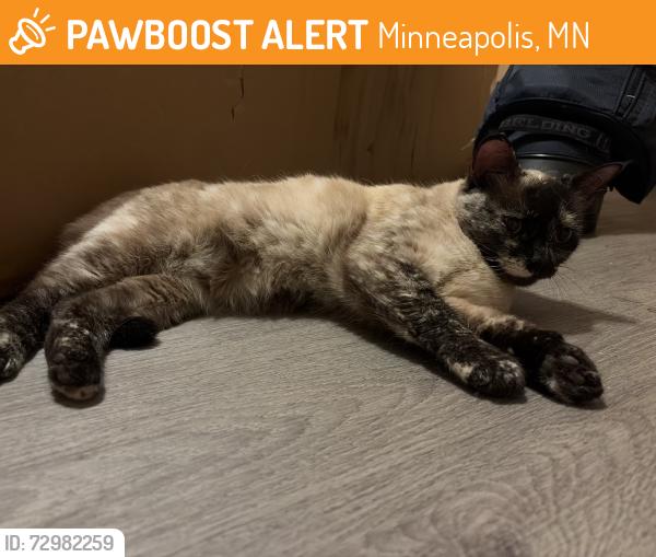 Found/Stray Female Cat last seen SE Delaware St, Saint Mary’s Ave, Minneapolis, MN 55414