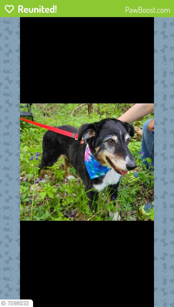 Reunited Male Dog last seen Hwy 96E Lascassas Hwy, Murfreesboro, TN 37130