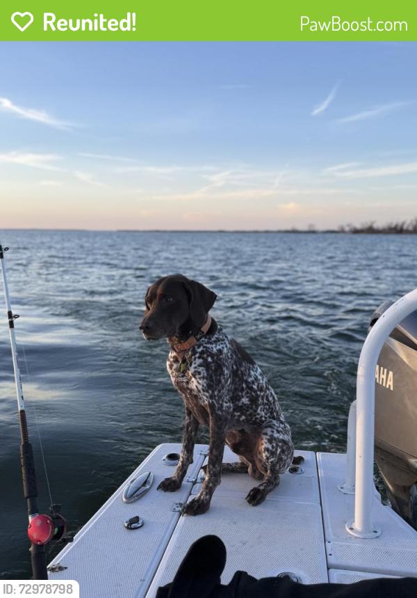 Reunited Male Dog last seen Brookside rd waxahachie , Waxahachie, TX 75165