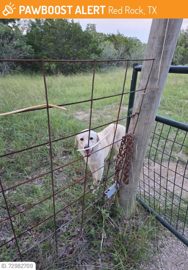 Found/Stray Male Dog last seen Murphy's Motocross, Red Rock, TX 78662