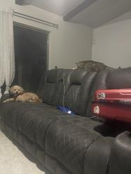 Lost Male Dog last seen Chalice and overbrook, Arlington, TX 76014
