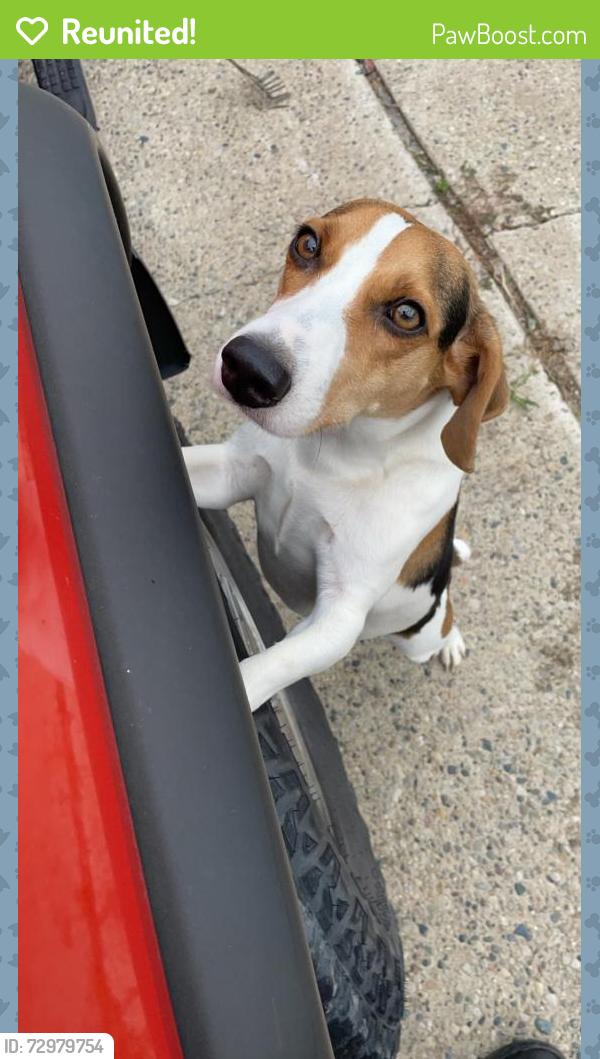 Reunited Male Dog last seen Near sunset , Detroit, MI 48234