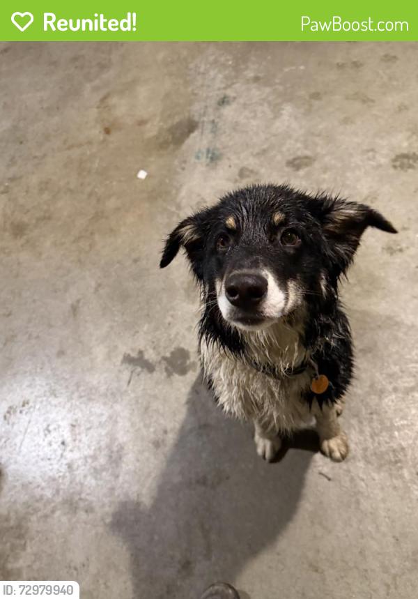Reunited Unknown Dog last seen Near 655th St, Kasson, MN 55944, Kasson, MN 55944