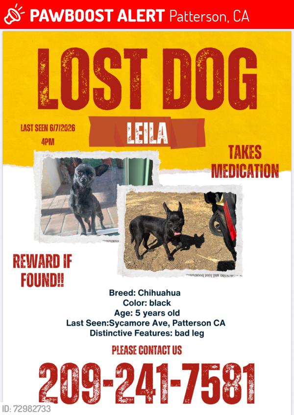 Lost Female Dog last seen Pomelo, Patterson, CA 95363
