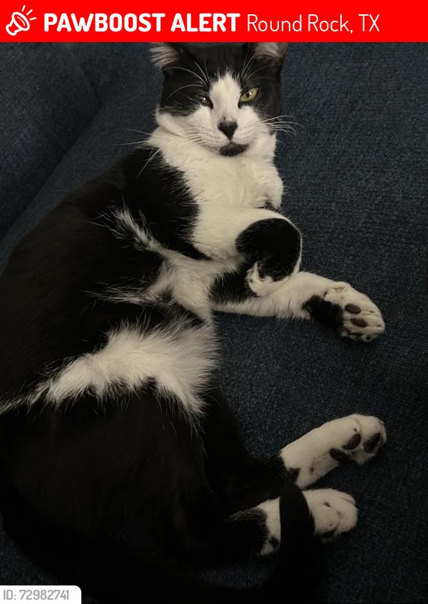 Lost Male Cat last seen Near e Palm valley blvd , Round Rock, TX 78664