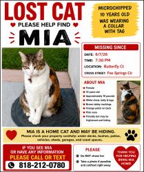 Reunited Female Cat last seen Butterfly Ct. Newbury Park, Thousand Oaks, CA 91320