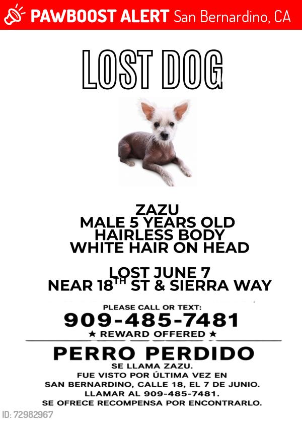 Lost Male Dog last seen Waterman, Sierra way , San Bernardino, CA 92404