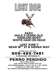 Lost Male Dog last seen Waterman, Sierra way , San Bernardino, CA 92404