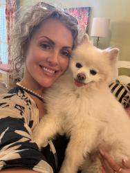 Lost Male Dog last seen Barker Cypress/Riatta Ranch Blue Wave Car Wash & Walgreens, Houston, TX 77433