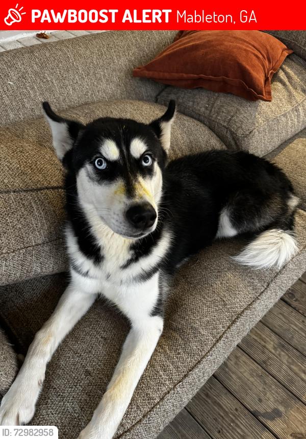 Lost Male Dog last seen Mableton ga , Mableton, GA 30126