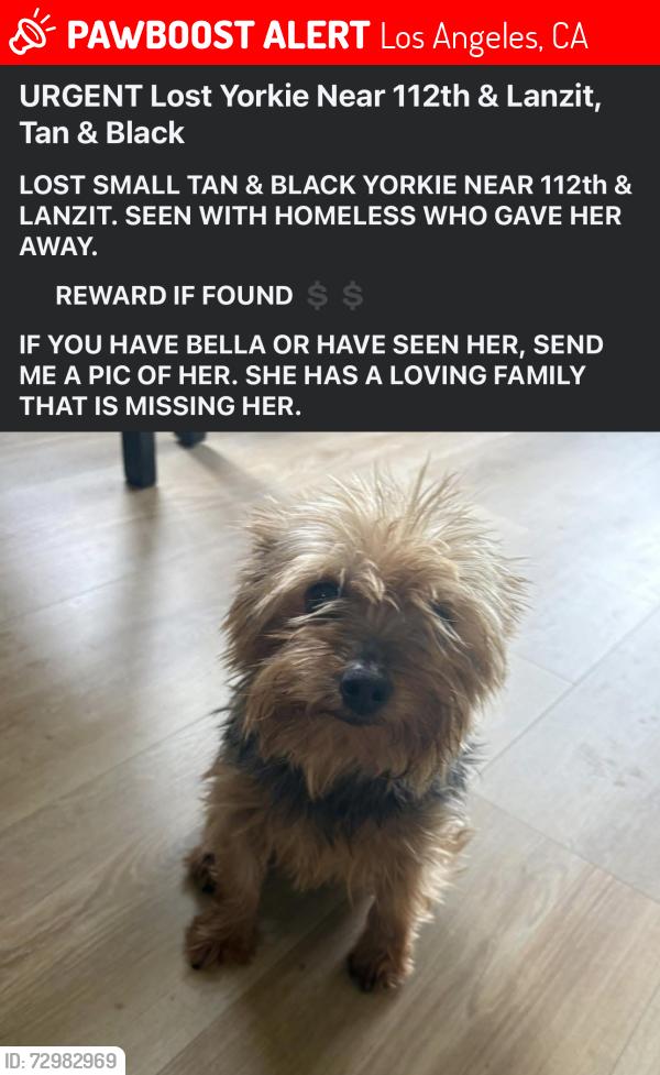 Lost Female Dog last seen 112th and Lanzit, Los Angeles, CA 90059