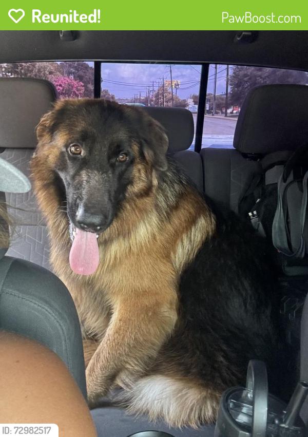 Reunited Male Dog last seen Thousand Oaks, San Antonio, TX 78232