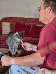 Lost Male Cat last seen Corporate Woods, San Antonio, TX 78259