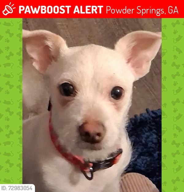 Lost Male Dog last seen Brownsville rd , Powder Springs, GA 30127