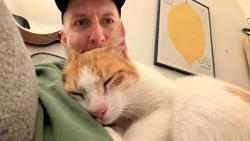 Reunited Male Cat last seen Queens Park Avenue, near Kingsley Rose Gardens, Glasgow City, Scotland G42