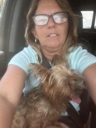 Reunited Female Dog last seen Angelica st, Cocoa, FL 32926