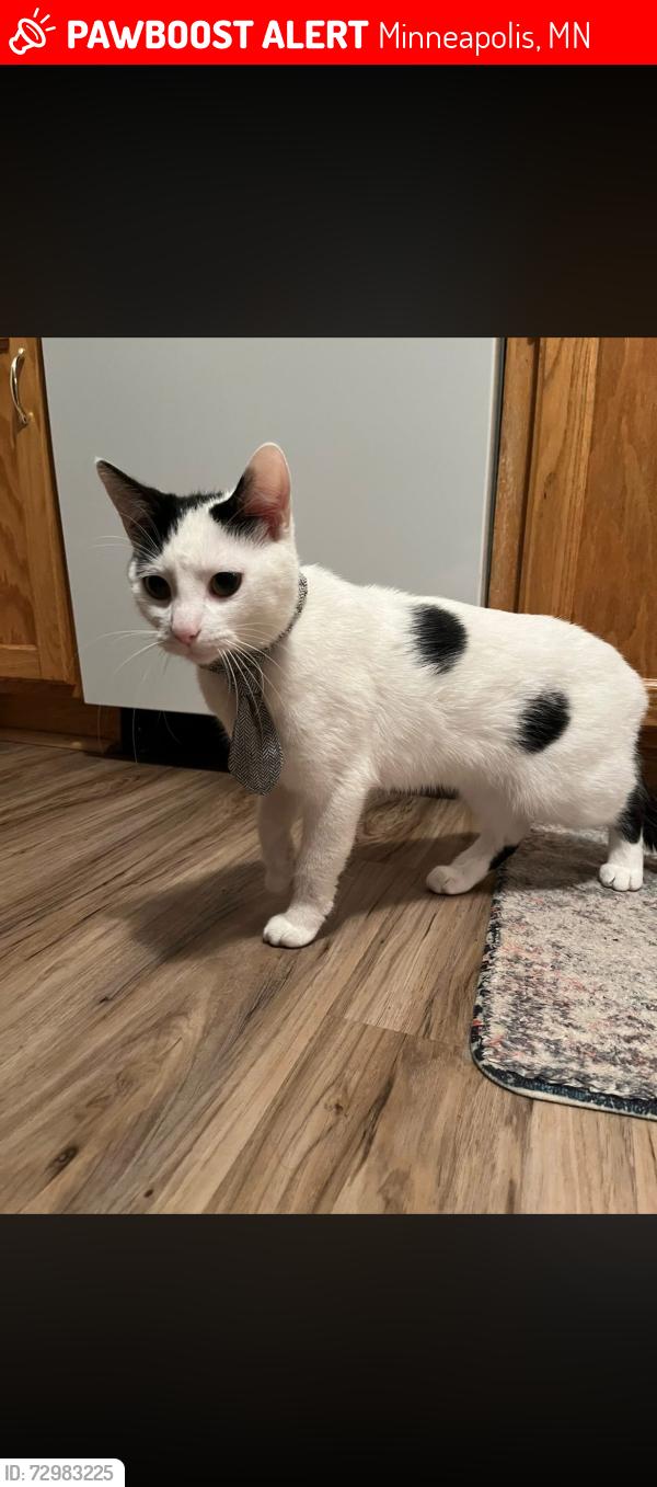 Lost Female Cat last seen Near se 7th st, Minneapolis , Minneapolis, MN 55414