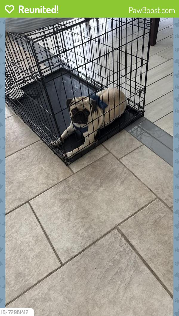 Reunited Male Dog last seen John’s Lake Eatstes, Clermont, FL 34711