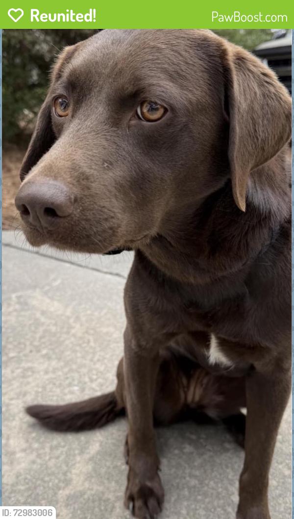 Reunited Female Dog last seen Ashe Street, Southern Pines, NC 28387