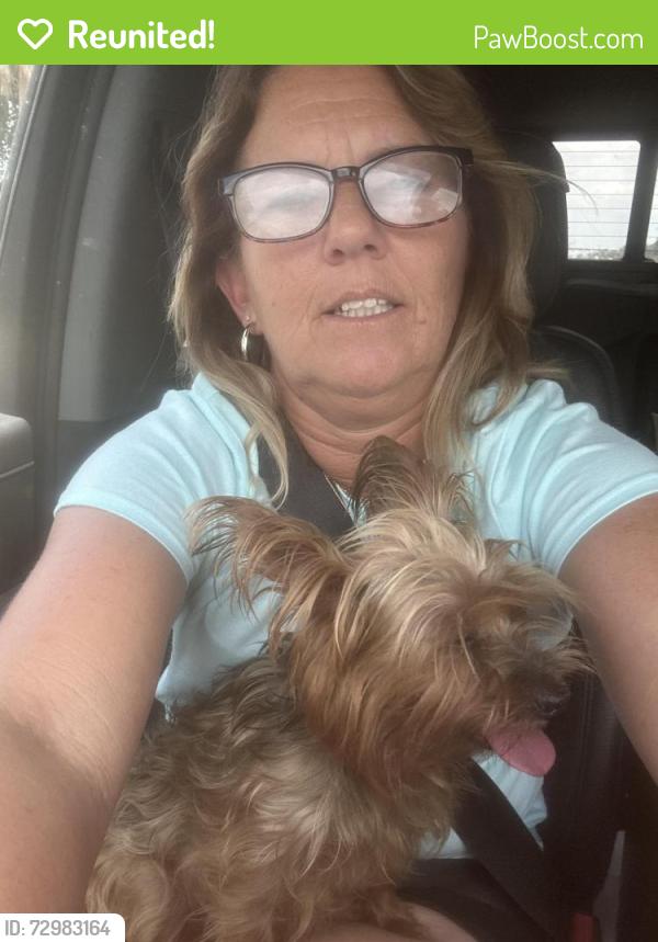 Reunited Female Dog last seen Angelica st, Cocoa, FL 32926