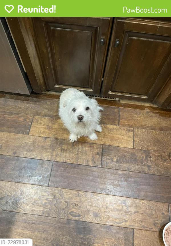 Reunited Male Dog last seen Near and fort street, Omaha, NE 68116