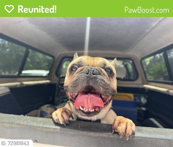 Reunited Male Dog last seen Barancass Mandalay , Pensacola, FL 32507
