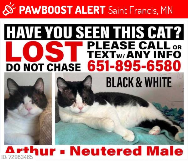 Lost Male Cat last seen 235th lane NW and Rum River Blvd , Saint Francis, MN 55070