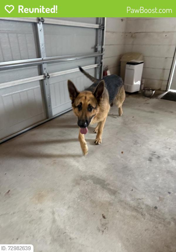 Reunited Male Dog last seen Old St Augustine Rd, Jacksonville, FL, USA, Jacksonville, FL 32258