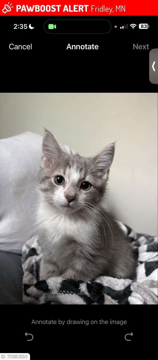 Lost Female Cat last seen Georgetown on the river, Fridley, MN 55432