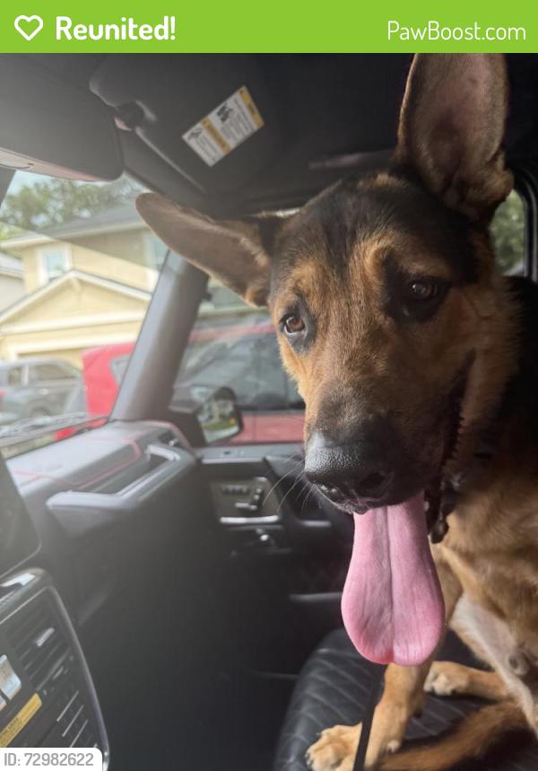 Reunited Male Dog last seen Old St Augustine Rd, Jacksonville, FL, USA, Jacksonville, FL 32258