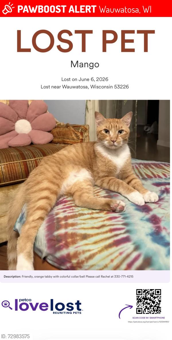 Lost Male Cat last seen Normandy apmts, Wauwatosa, WI 53226