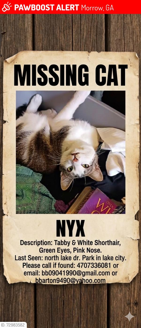 Lost Male Cat last seen Morrow lake city recreational park north lake dr, Morrow, GA 30260