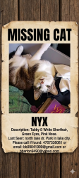 Lost Male Cat last seen Morrow lake city recreational park north lake dr, Morrow, GA 30260