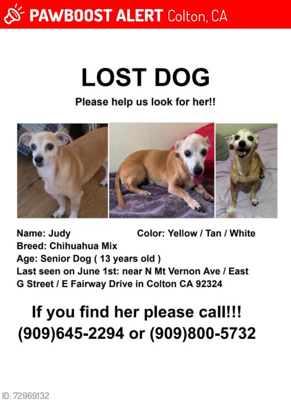 Lost Female Dog last seen East G Street Colton CA. / N Mount Vernon Ave, Colton, CA 92324