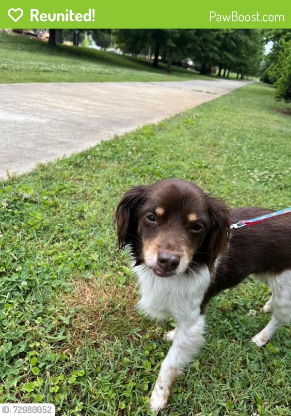Reunited Female Dog last seen Heathstead, Charlotte, NC 28210