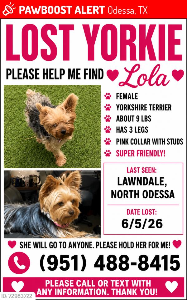 Lost Female Dog last seen Ratliff Ridge Ave, Odessa, TX 79762
