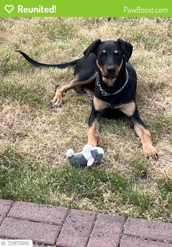 Reunited Female Dog last seen Near NE Failing, Portland, OR 97213