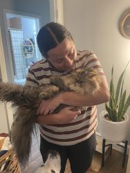 Reunited Female Cat last seen Kipling and Kenton, Nashville, TN 37217
