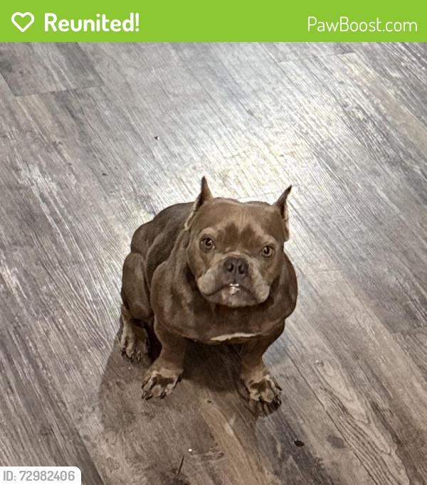 Reunited Female Dog last seen Nacogdoches and O’Connor , San Antonio, TX 78233