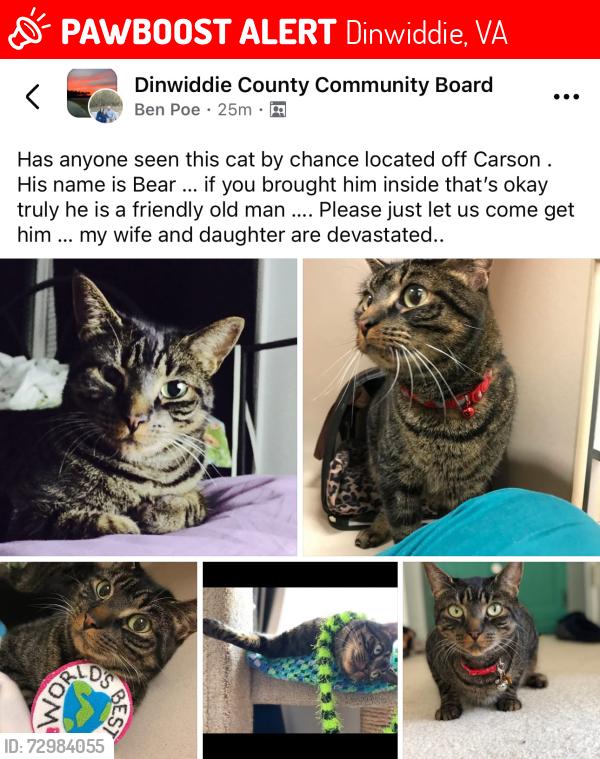 Lost Male Cat last seen Boydton and carson, Dinwiddie, VA 23841