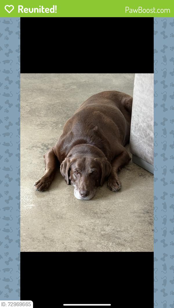 Reunited Male Dog last seen Kelly plantation , Destin, FL 32541