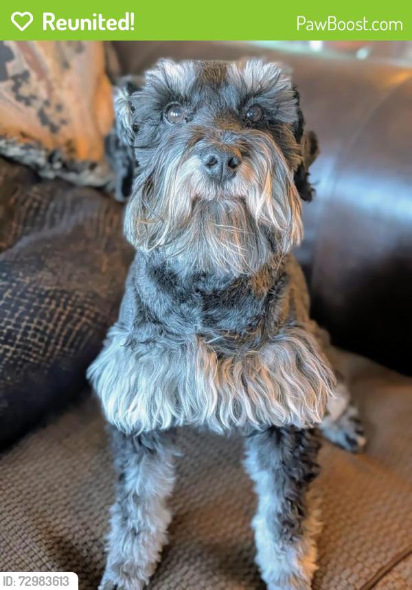 Reunited Female Dog last seen Gladstan Golf Course, Elk Ridge, UT 84651