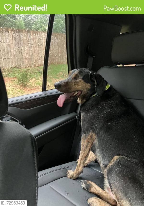 Reunited Unknown Dog last seen Branch Valley Wag, Roswell, GA 30076