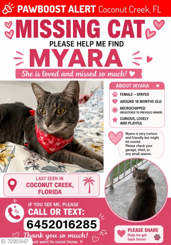 Lost Female Cat last seen Near sunshine drive  , coconut creek , fl, Coconut Creek, FL 33066