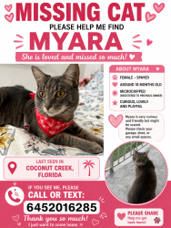 Lost Female Cat last seen Near sunshine drive  , coconut creek , fl, Coconut Creek, FL 33066