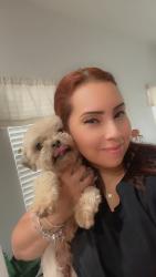Reunited Male Dog last seen RockSlide Cir & Camel, Las Vegas, NV 89115