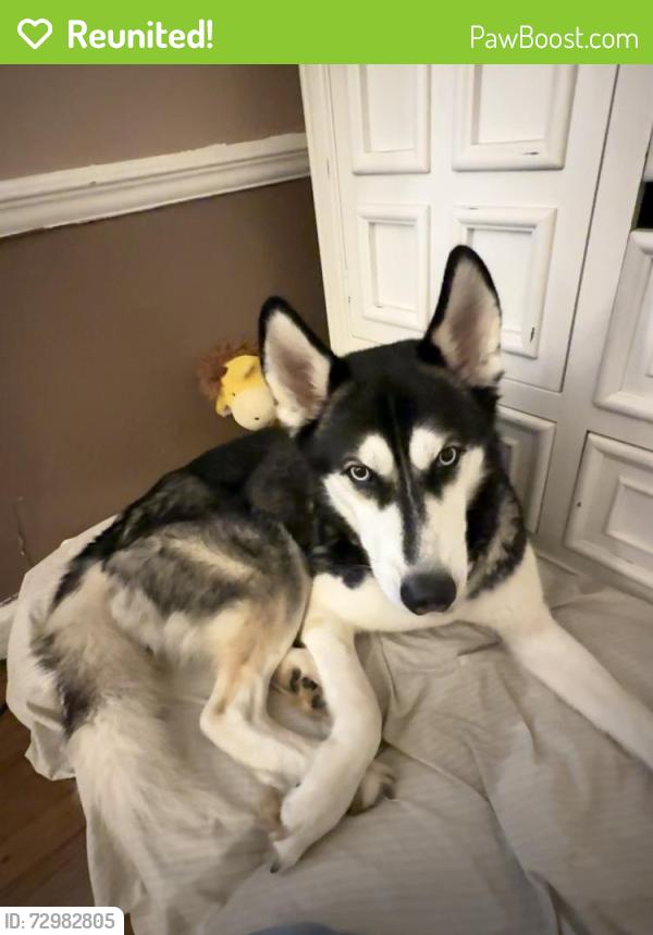 Reunited Male Dog last seen Mableton Pkwy , Mableton, GA 30126