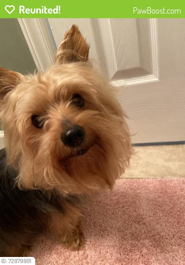 Reunited Male Dog last seen Near Rose Dr, Goldsboro, NC 27534, USA, Goldsboro, NC 27534