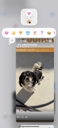 Found/Stray Female Dog last seen Mountain ridge , Bakersfield, CA 93313